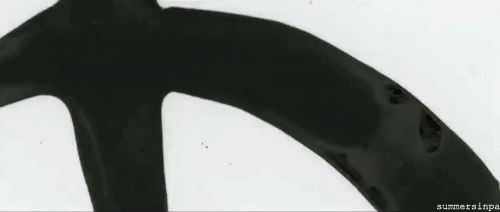 Misc image 7